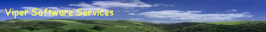 Viper Software Services, Inc.